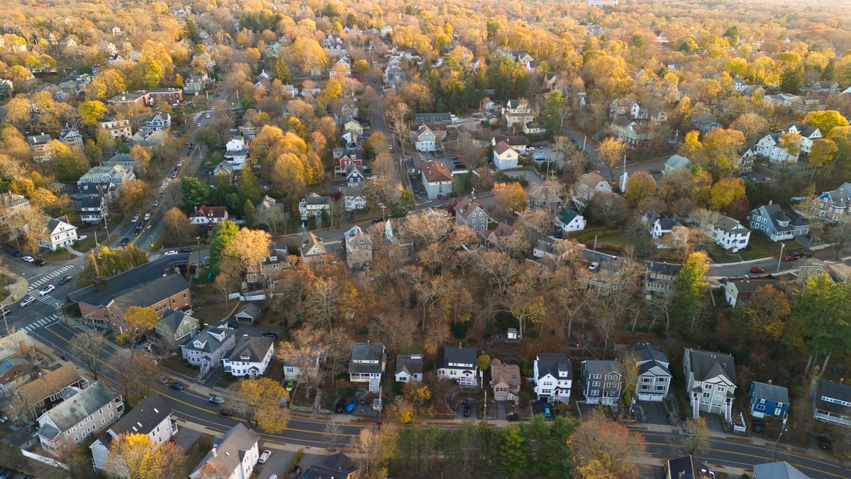 Residential homes and foliage in evening light