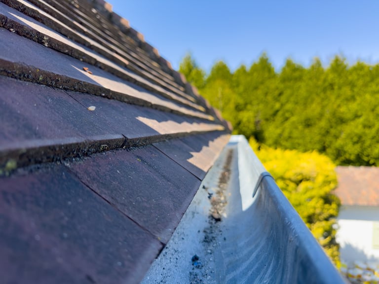 Roof and gutters of a home bathed in warm autumn sunlight