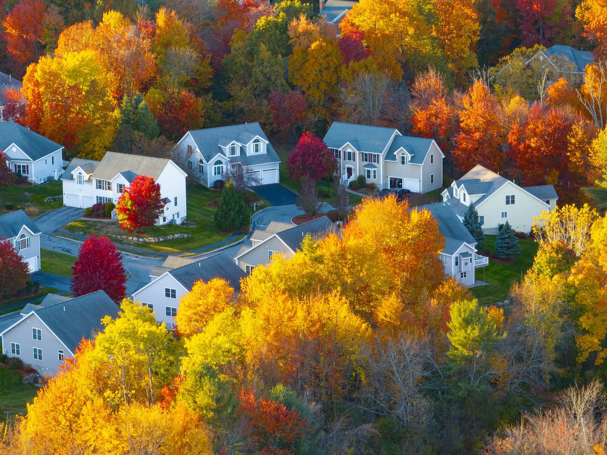 Aerial view of suburban housing community in autumn with colorful trees
